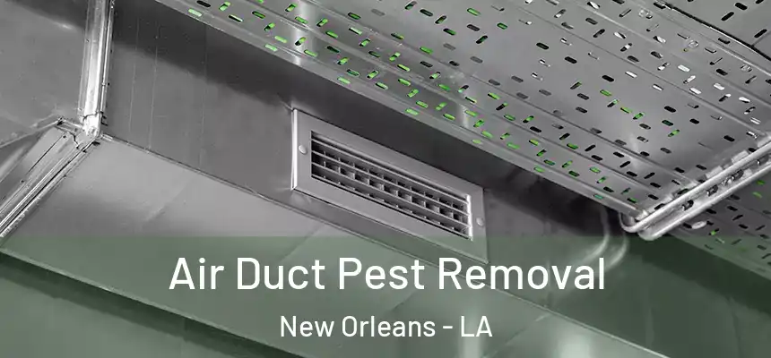  Air Duct Pest Removal New Orleans - LA