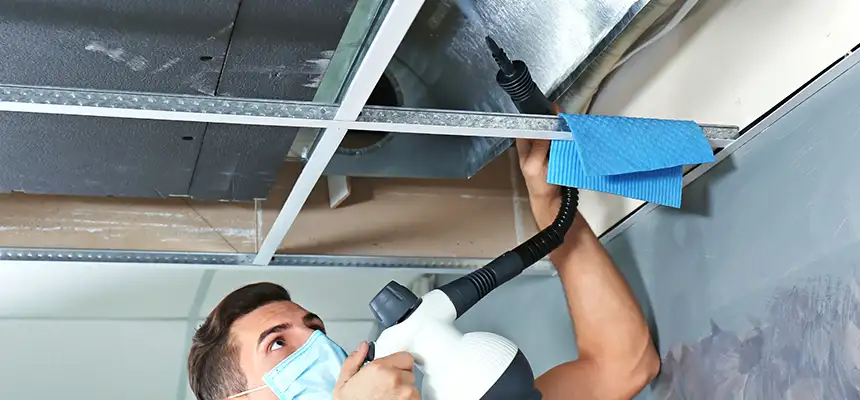 Our Air Duct Rodent Removal Services in New Orleans, LA