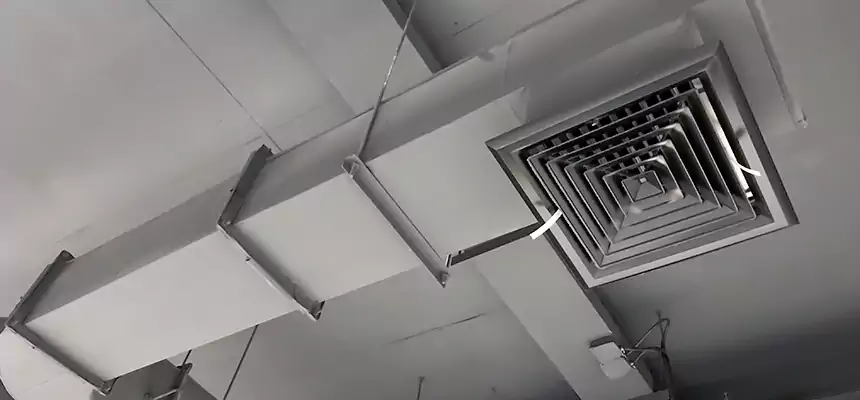 Our Pest Removal From Ducts Services in New Orleans, LA