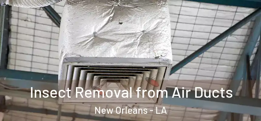Insect Removal from Air Ducts New Orleans - LA