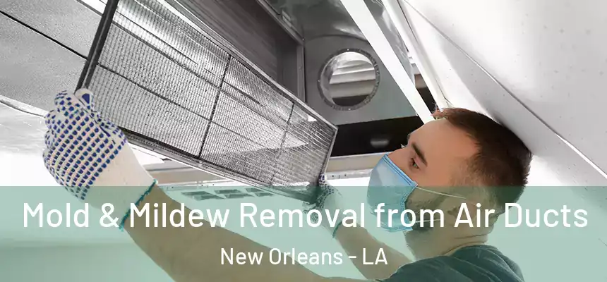 Mold & Mildew Removal from Air Ducts New Orleans - LA