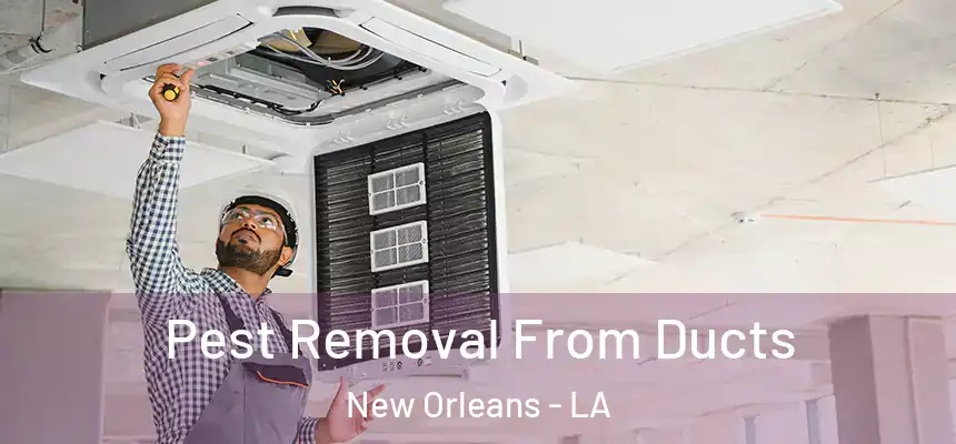  Pest Removal From Ducts New Orleans - LA