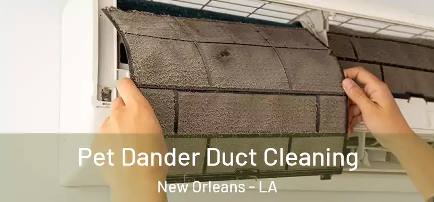  Pet Dander Duct Cleaning New Orleans - LA