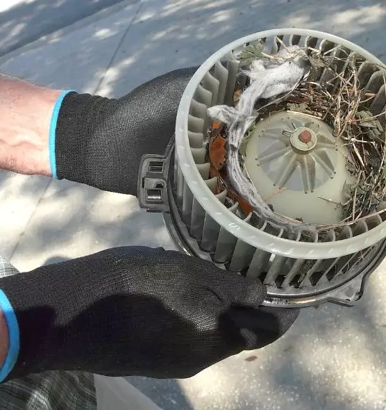 About Air Duct Mice Removal in New Orleans, LA