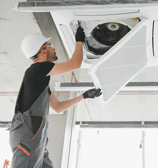 About Air Duct Rodent Removal in New Orleans, LA