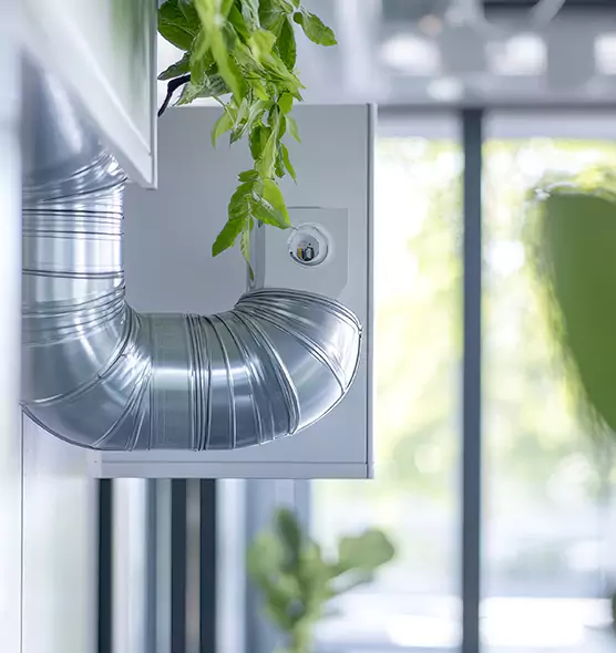 Professional Eco-Safe Dryer Vent Cleaning in New Orleans, LA