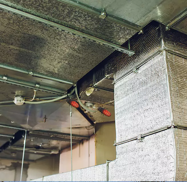 Why Homeowners & Businesses Trust Us in New Orleans, LA?