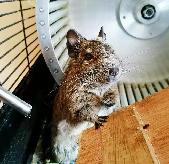 Why Homeowners & Businesses Trust Us New Orleans, LA?