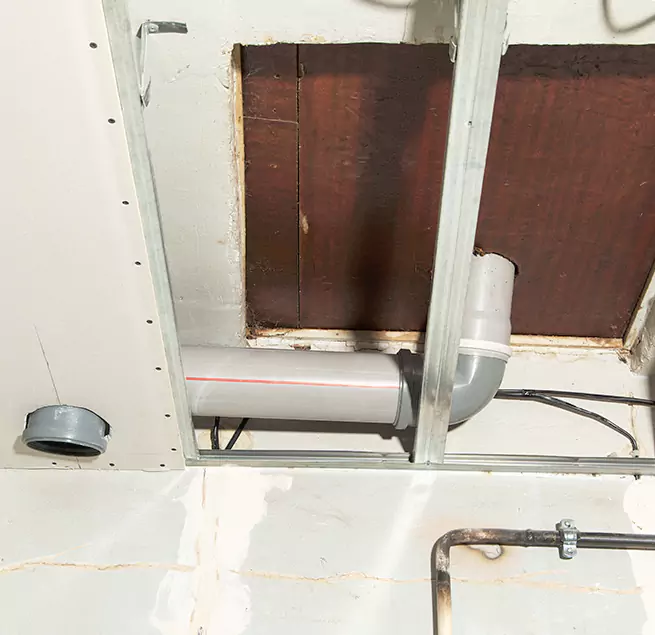 Why Homeowners & Businesses Trust Us in New Orleans, LA?