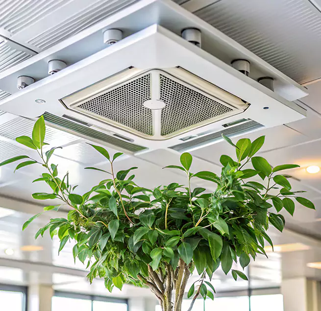 Why Homeowners & Businesses Trust Us in New Orleans, LA?