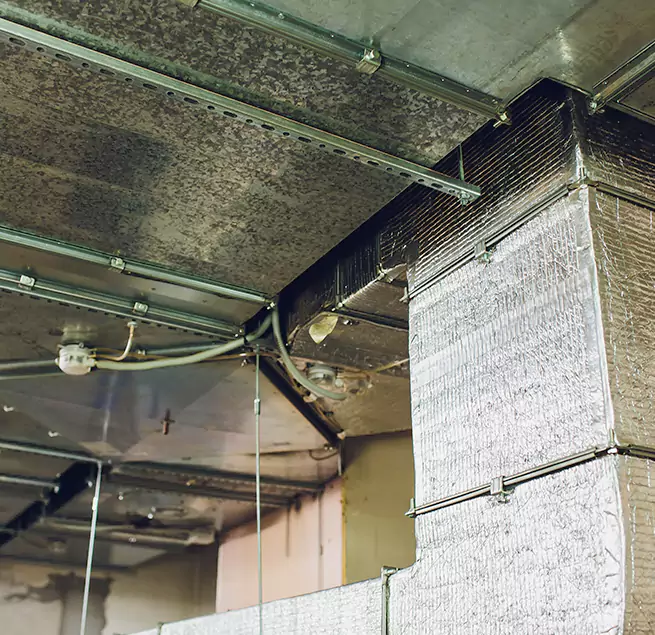 Why Homeowners & Businesses Trust Us in New Orleans, LA?